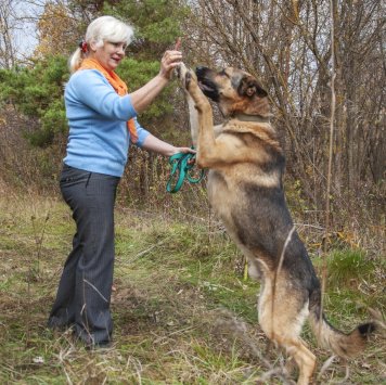 Собаки в добрые руки - Байкал - 1