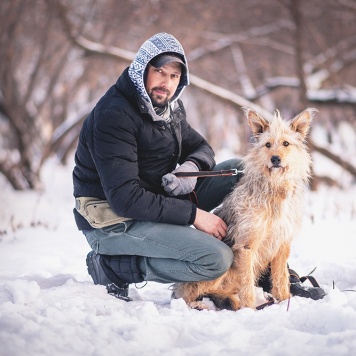 Собаки в добрые руки - Чарлик - 2