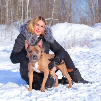 Собаки в добрые руки - Марсель - 2