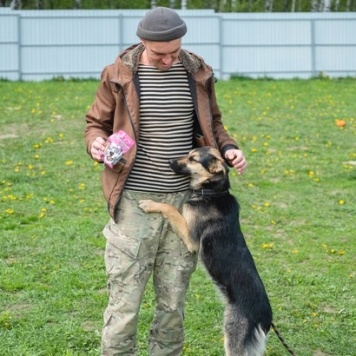 Собаки в добрые руки - Амели - 1