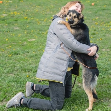 Собаки в добрые руки - Амели - 3