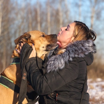 Собаки в добрые руки - Рошаль - 4