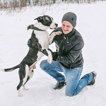 Собаки в добрые руки - Лоджи Лойд - 1