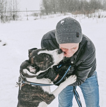 Собаки в добрые руки - Лоджи Лойд - 2