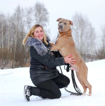 Собаки в добрые руки - Вандер - 4