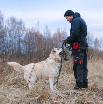Собаки в добрые руки - Ялма - 3