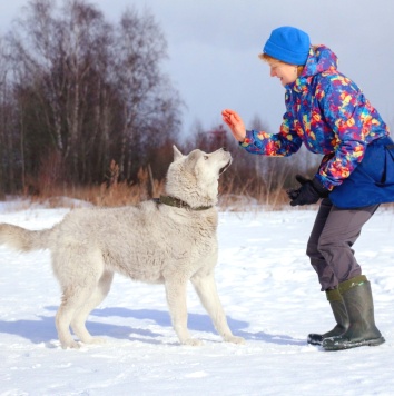Собаки в добрые руки - Ялма - 3