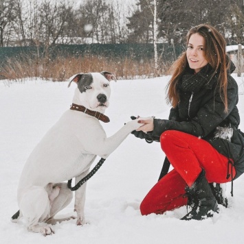 Собаки в добрые руки - Дизелек - 4