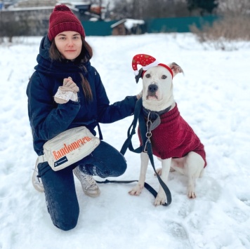 Собаки в добрые руки - Латте - 2