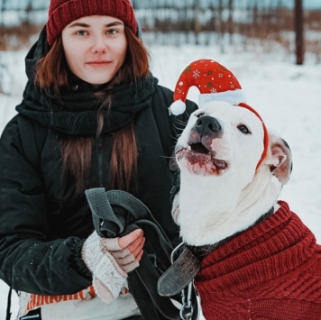 Собаки в добрые руки - Латте - 3