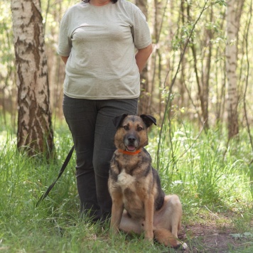 Собаки в добрые руки - Тимоша - 2