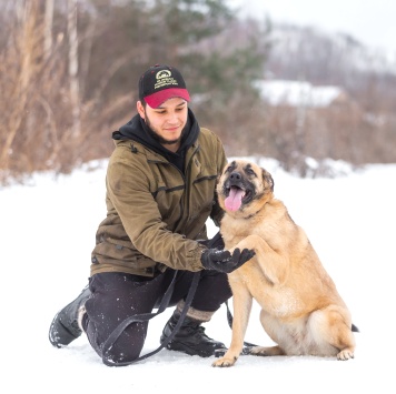 Собаки в добрые руки - Кэнди - 4