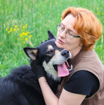 Собаки в добрые руки - Ромул - 2