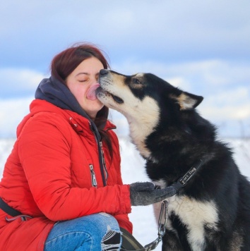 Собаки в добрые руки - Ромул - 3