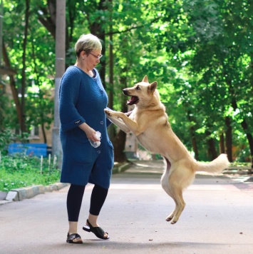 Собаки в добрые руки - Найда - 4