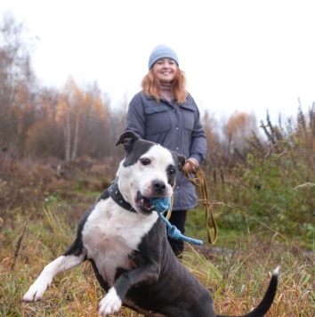 Собаки в добрые руки - Танита - 2