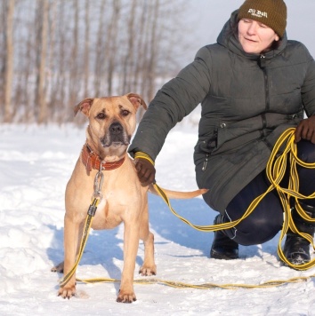 Собаки в добрые руки - Мириам - 3