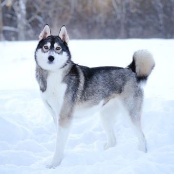 статья 2022. 22 коап рф. лучшая статья 2022.