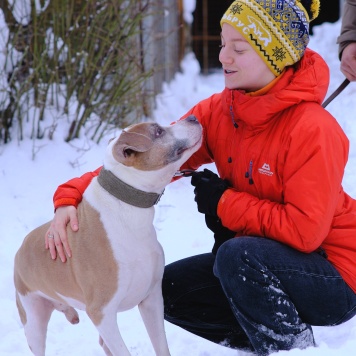 Собаки в добрые руки - Баксик - 3