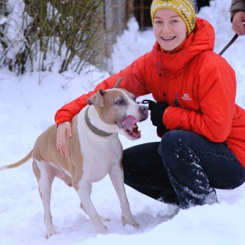 Собаки в добрые руки - Баксик - 4