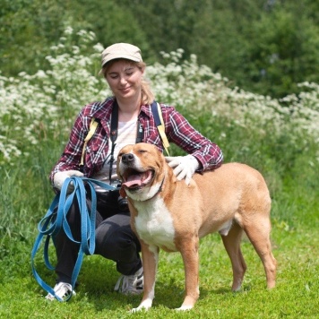 Собаки в добрые руки - Гром - 1