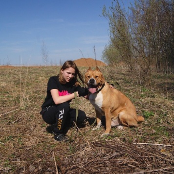 Собаки в добрые руки - Гром - 3