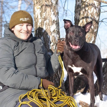 Собаки в добрые руки - Риддик - 4