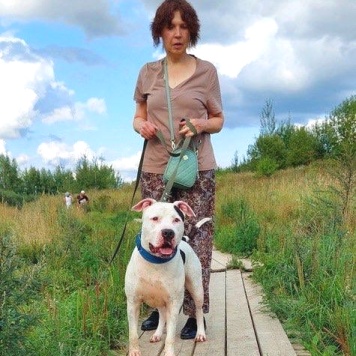 Собаки в добрые руки - Джесур - 2