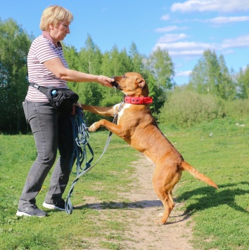 Собаки в добрые руки - Рулла - 3