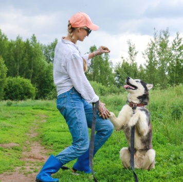 Собаки в добрые руки - Лепс - 2