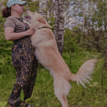 Собаки в добрые руки - Тайсон - 4