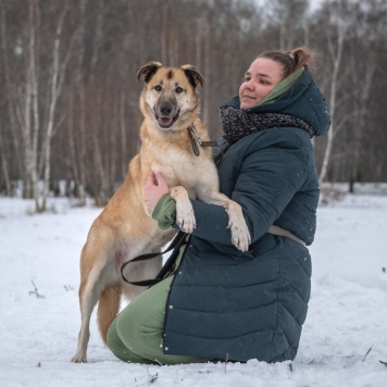 Собаки в добрые руки - Дейзи - 2