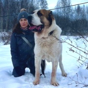 Собаки в добрые руки - Вотан