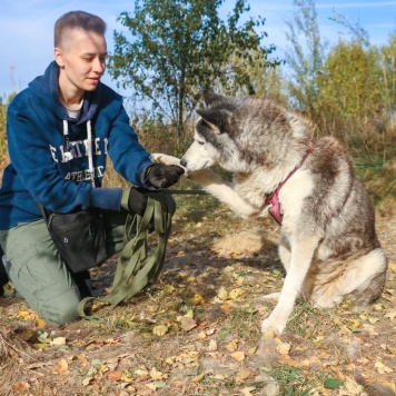 Собаки в добрые руки - Умка - 3