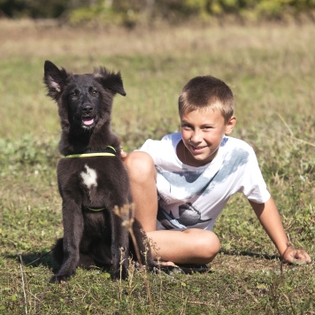 Собаки в добрые руки - Фанни - 1