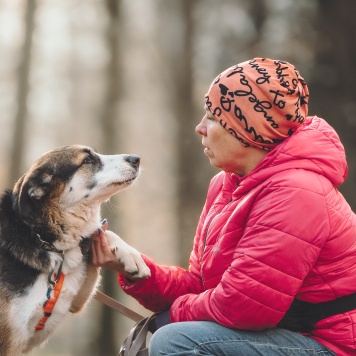 Собаки в добрые руки - Айриш - 3