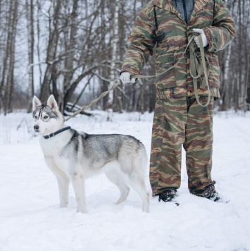 Собаки в добрые руки - Тина - 2