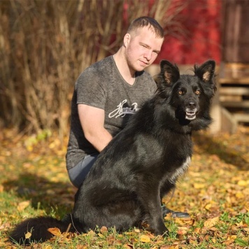 Собаки в добрые руки - Джим - 2