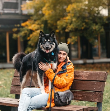 Собаки в добрые руки - Хьюстон - 4