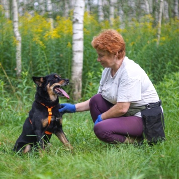 Собаки в добрые руки - Чоки - 3