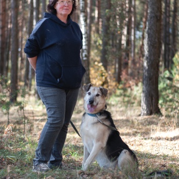 Собаки в добрые руки - Михей - 2