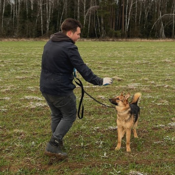 Собаки в добрые руки - Фундук - 1