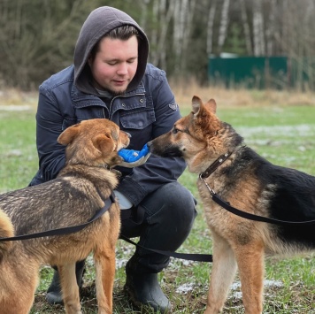 Собаки в добрые руки - Фундук - 3