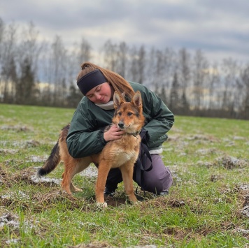 Собаки в добрые руки - Миндаль - 2