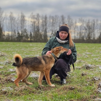 Собаки в добрые руки - Миндаль - 3