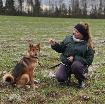 Собаки в добрые руки - Миндаль - 4