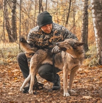 Собаки в добрые руки - Степашка - 3