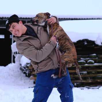 Собаки в добрые руки - Ярни - 3