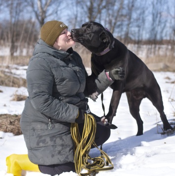 Собаки в добрые руки - Пинкертон - 2