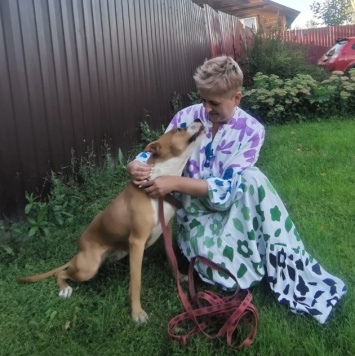 Собаки в добрые руки - Хельга - 1